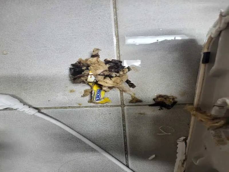 광명 배관 이물질 제거 사례 2
